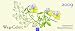 Weg-Geleit 2009: Blumen-Aufstellkalender