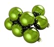 Club Pack of 36 Shiny Green Apple Glass Ball Christmas Ornaments 2.75" (67mm)