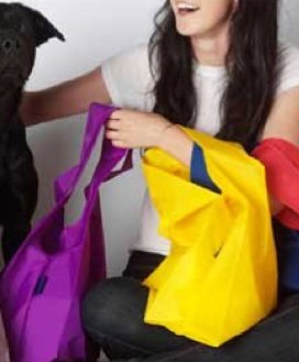 Childrens Toyshop  Apparel : Baggu Reusable Shopping Tote and Pouch