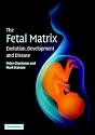 The Fetal Matrix: Evolution, Development and Disease