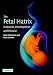 Books : The Fetal Matrix: Evolution, Development and Disease