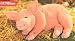 Arnold the Snoring Pig by Gundfun