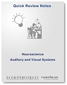 Neuroscience Review: The Auditory and Visual System (Quick Review Notes)