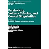 parabolicity volterra calculus and conical singularities a volume of advances in partial differential equations