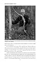Hunting Big Woods Bucks Hunting Big Woods Bucks
