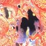 Final Fantasy VI: Grande Finale