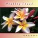Healing Touch