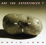 David Lang: Are You Experienced?