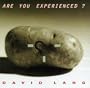 Are You Experienced