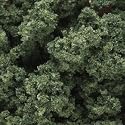 Underbrush, Medium Green