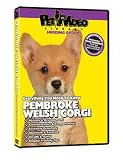 Pembroke Welsh Corgi DVD, Dog Guide DVD, Books, Pet Accessory, Home & Garden