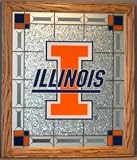 Illinois Fighting Illini Stained Glass Wall Plaque