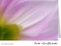 Edle Foto-Gru&szlig;karte - Dahlie lila, Faltkarte mit Kuvert