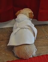 Dog Gone Cute by Lou's Doggie Boutique Pet Dog Spa Robe / Towel White XS