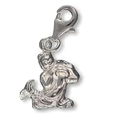 charms SilberDream 925 Sterling Silber Charm Sternzeichen Wassermann Anhänger für Armband Kette Ohrring FC7102 Erfahrungsbericht