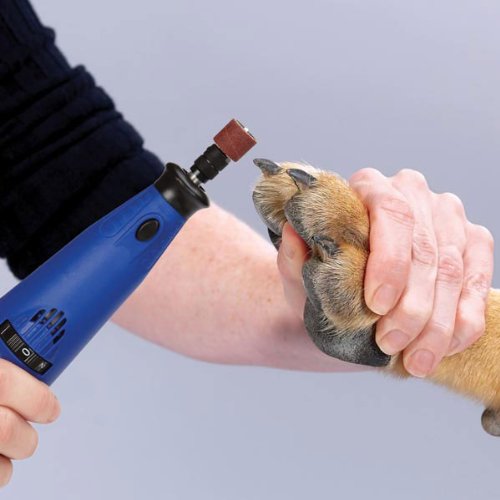 Image #2 of Master Grooming Tools
