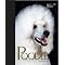 So you want to buy a Standard Poodle
