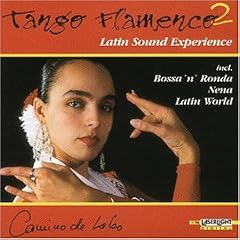 Tango Flamenco-Latin Sound