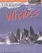 Life in a Pod of Whales (Animal Groups)