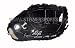 David Ortiz Hand Signed Game Model Glove
