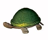 Iron & Formed Glass Green Turtle