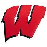 Die Wisconsin Badgers Car Magnet