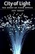 City of Light: The Story of Fiber Optics (Sloan Technology Series)