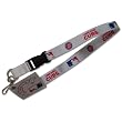 Chicago Cubs VELCRO Clip Lanyard Keychain Id Ticket ~ Aminco international
