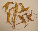 Wild New York Ginseng 4 oz. by Generation Tea
