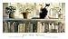 Bookends, Art Poster by Steve Hanks