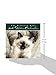 Sueellen Ross Kitten 2016 Mini Wall Calendar