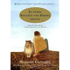 Es würde Knochen vom Himmel regnen (Gebundene Ausgabe)