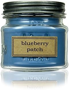 Eco Candle "FRUIT MARKET 3 Pack of Scented Soy Candles in 8oz Recycled Glass Mason Jars - Includes 3 Candles, one of each; Blueberry Patch, Strawberry Rhubarb & Apple Orchard. 100% USA Made!