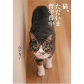 猫、ただいま留守番中