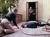 The Assassin