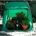 Search : Heated Plant Guard-Protects Your Plants From Frost (Green) (4' W x 4'L x 4'H)