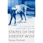 Stripes of the Sidestep Wolf