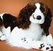Plush Duncan Springer Spaniel 24