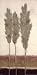 Evergreen I Beautiful MUSEUM WRAP CANVAS Print with Added BRUSHSTROKES Adelene Fletcher 12x24
