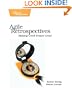 Agile Retrospectives: Making Good Teams Great (Pragmatic Programmers)