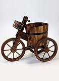 Review WATSONS  / Bicycle Solid Wood Garden Planter
