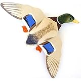 ADORE 18" Drake Mallard Duck Plush Stuffed Animal Walltoy Wall Mount