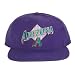 Arizona Diamondback Fitted Hat, 7 3/8
