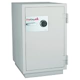 Fire Proof Data Safe 4.4 Cubic Foot Capacity Platinum