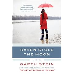 Raven Stole the Moon: A Novel