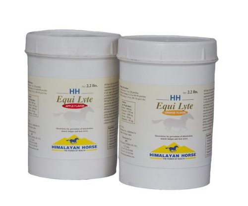 Himalayan Horse Equi-Lyte
