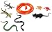 Kim'Play 1510 8 Reptile Animal Figures Small Model_s-1