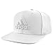 adidas Mens Daybreaker Flat Brim Snapback Cap, White/Clear Onix, One Size