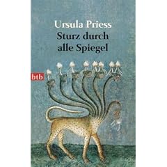 Sturz durch alle Spiegel: Eine Bestandsaufnahme