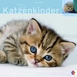 Katzenkinder 2009 Broschurkalender: Multipicture mit Texten & Poster